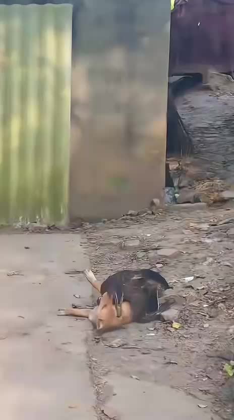 @Funny