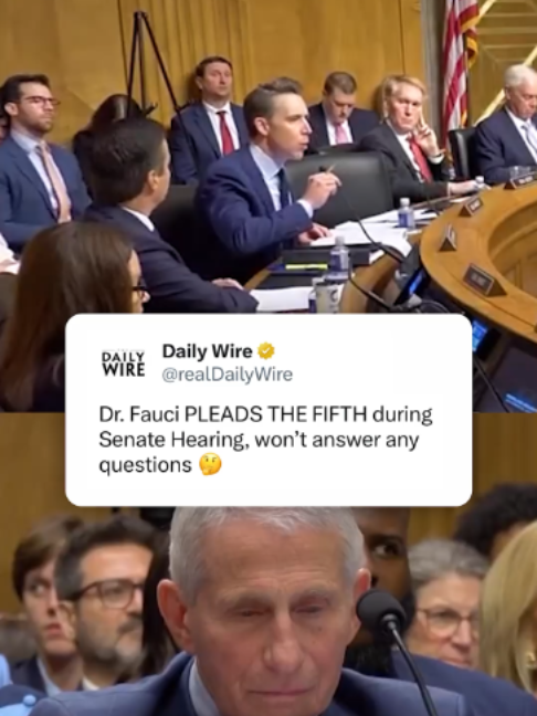 @Daily Wire