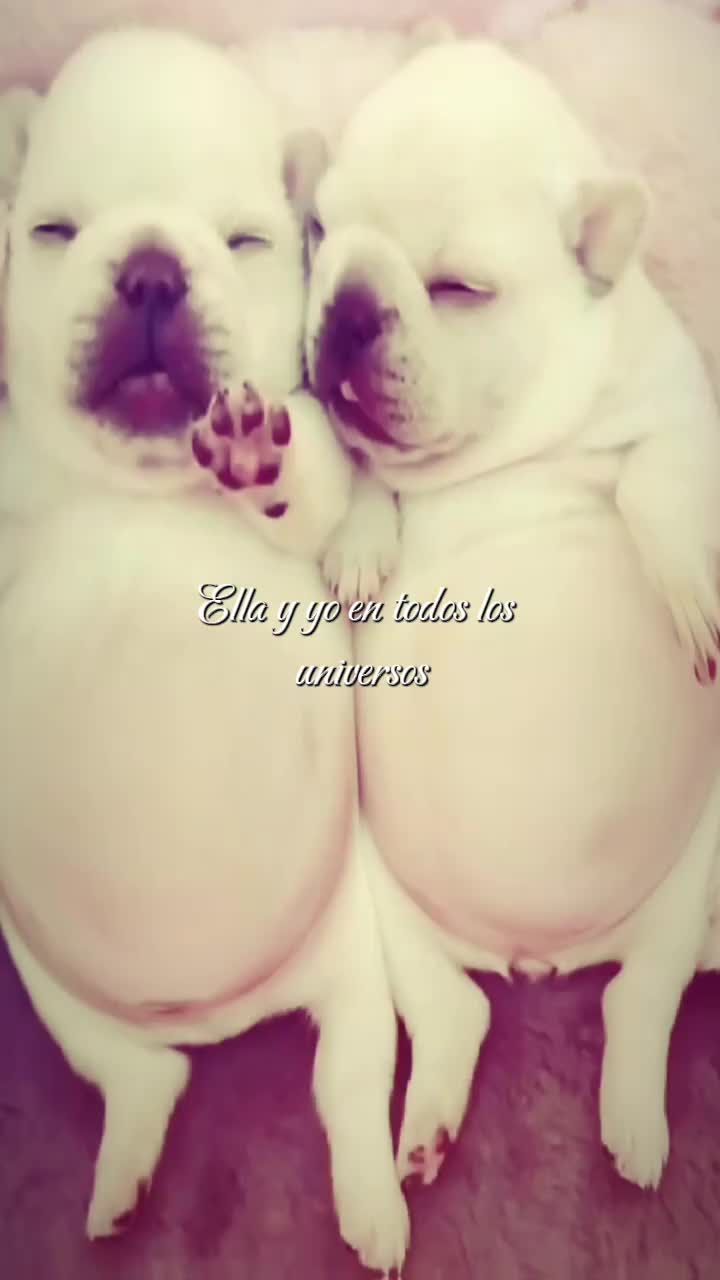 @𝒮𝓁𝓋𝓈𝓔