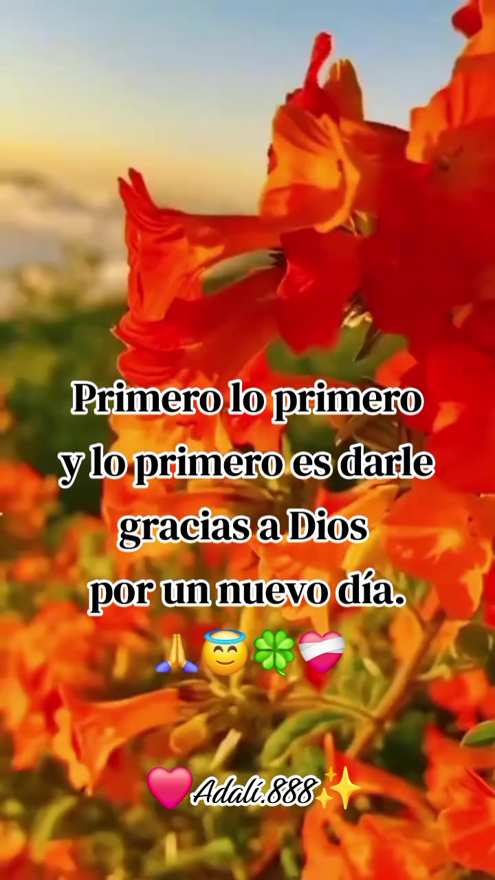 @@Adalí888
