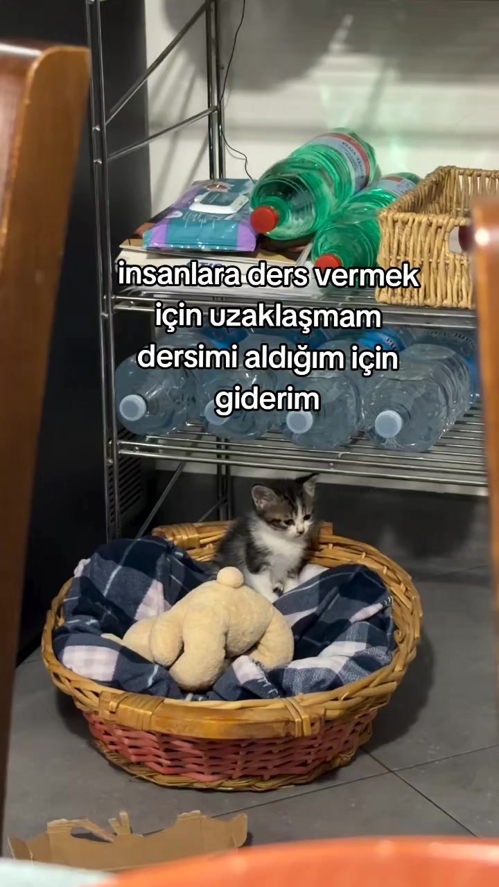 @rolland