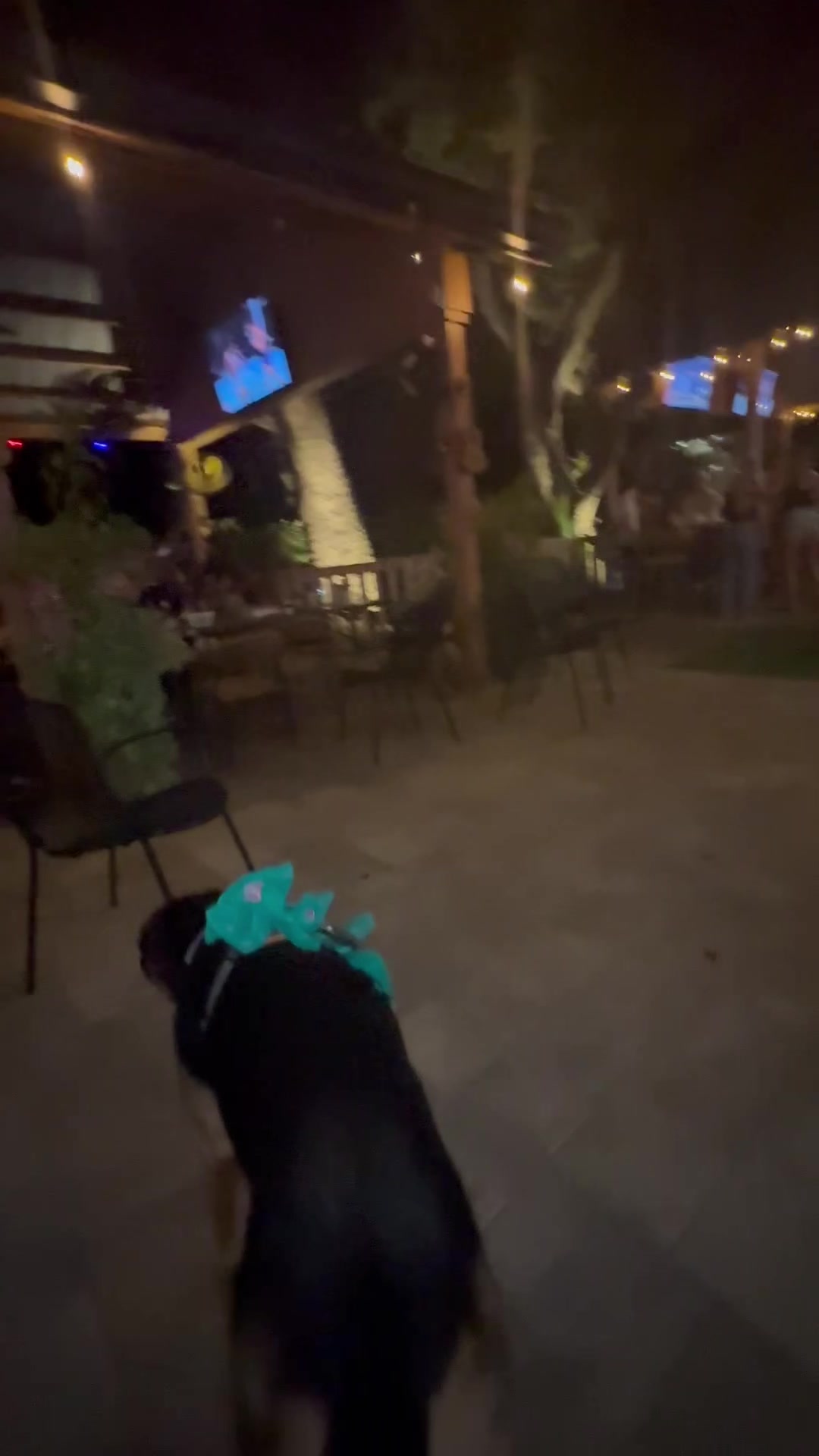 @Tara