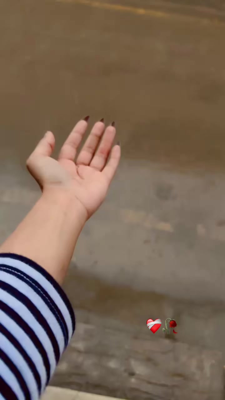 @Mehrmalik🌸♑️