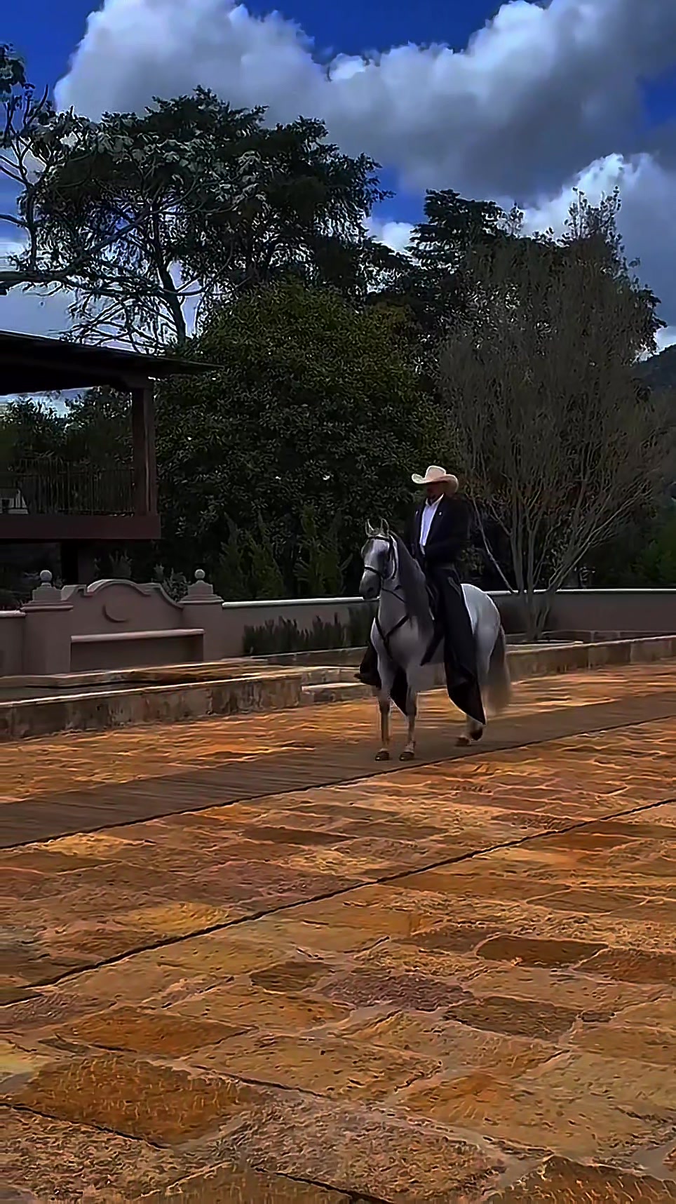 @Diego Alexander Rodr&iacute;guez
