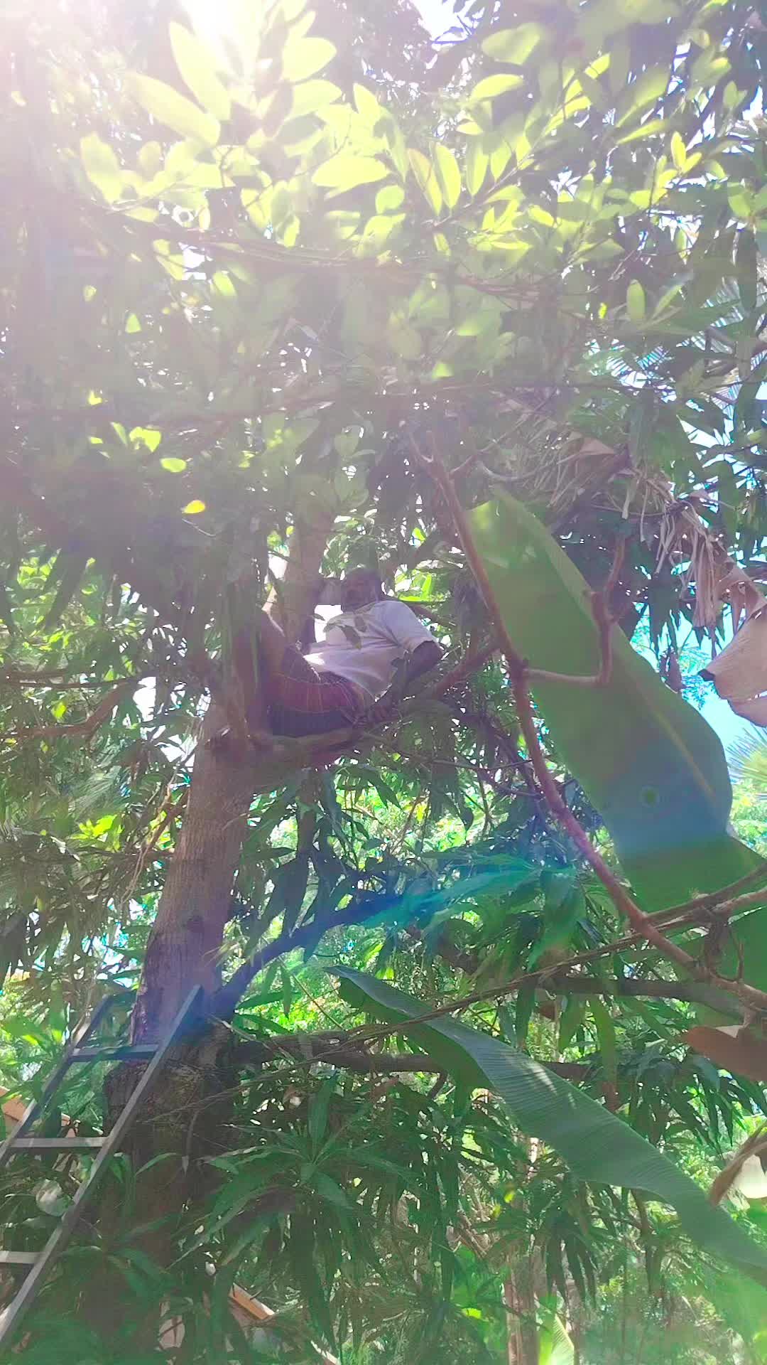 @🦜🦋🦚 💚❤️ANGEL ❤️💚🦋🐿️