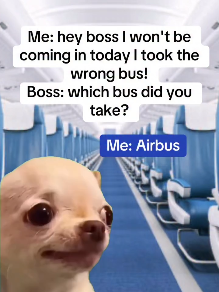 @cswalimemes