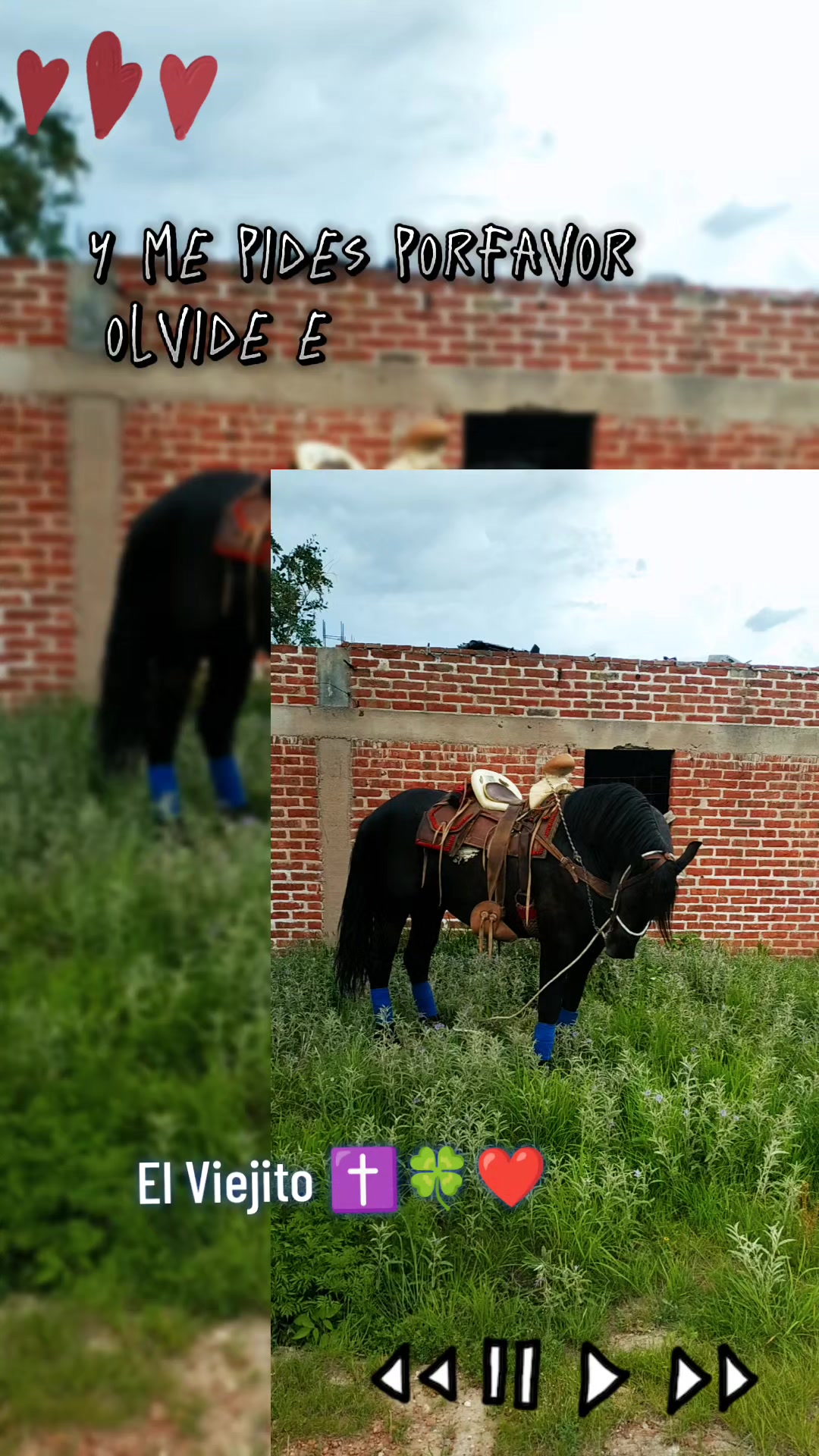 @Viejito Cordova✝️🍀❤️🐎🦅
