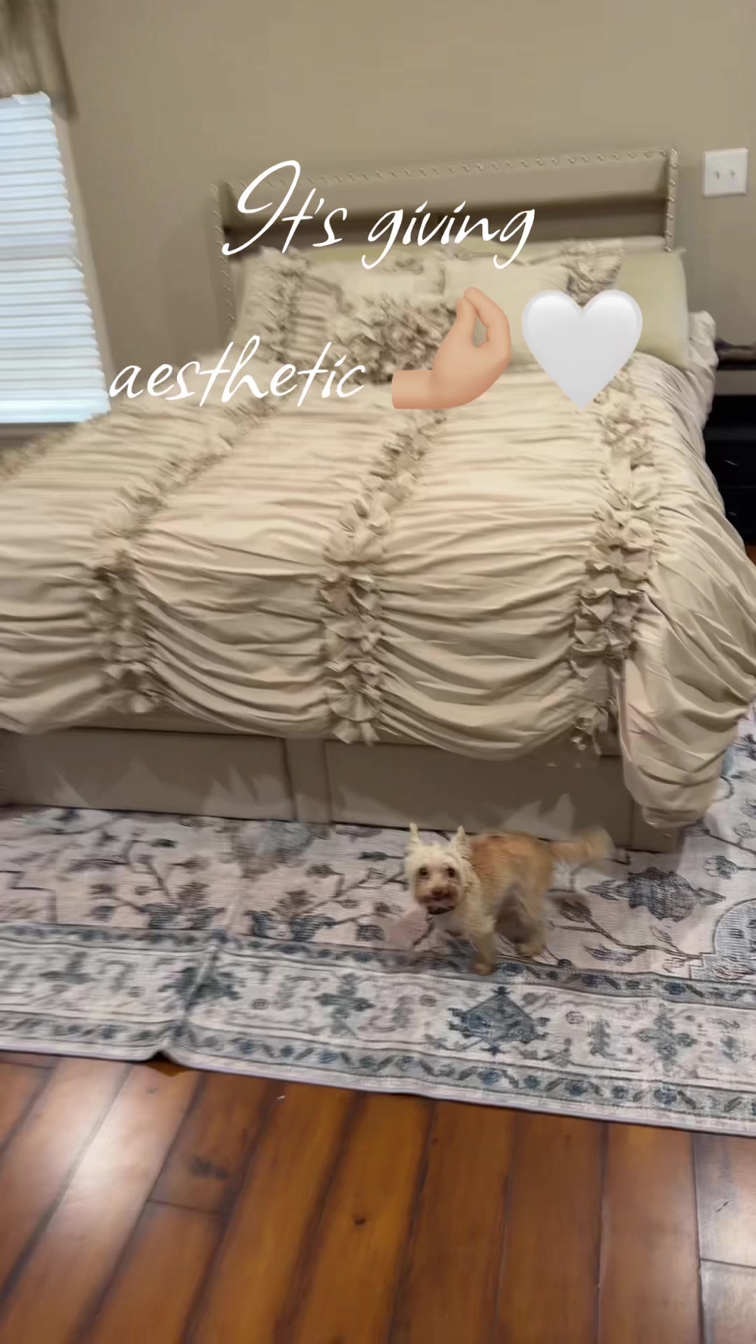 @beautytokfinds