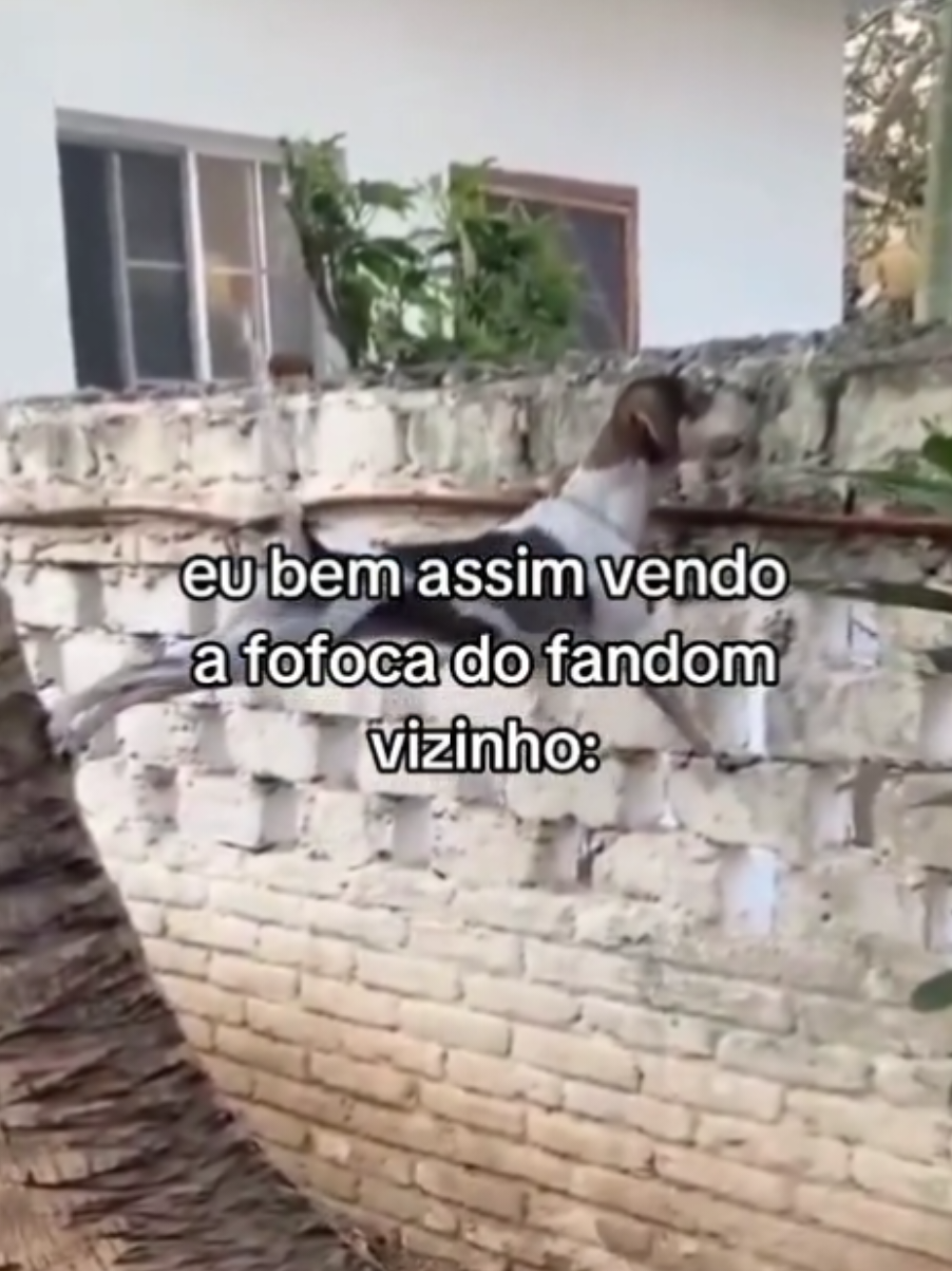 @mimi⁷