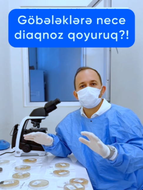 @Dr.Eldar Məmmədov