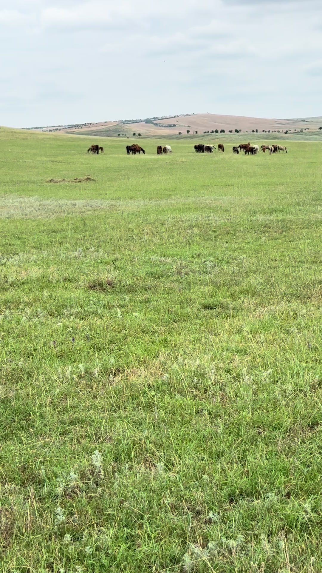 @MakvinStud