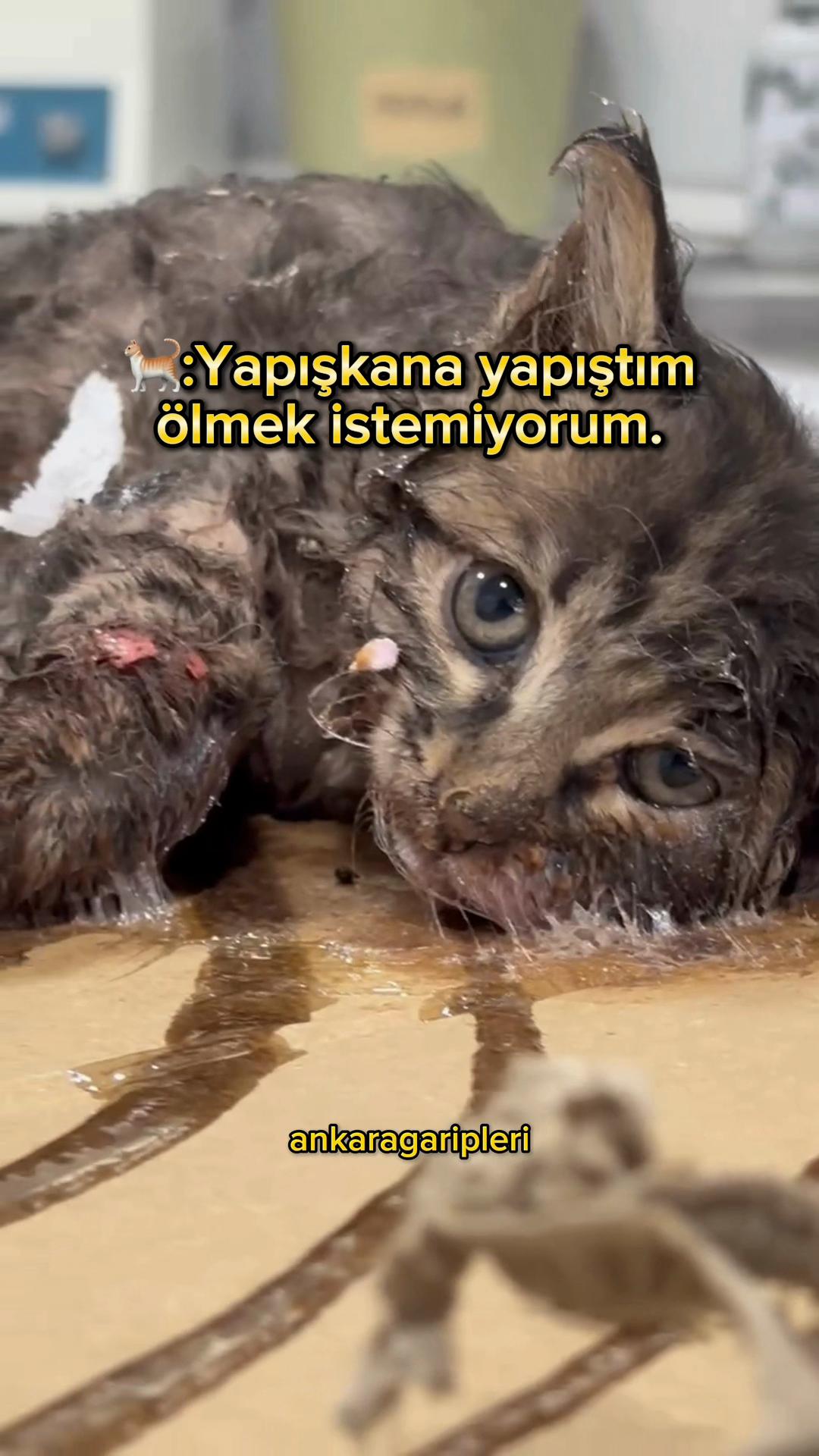 @Asiye