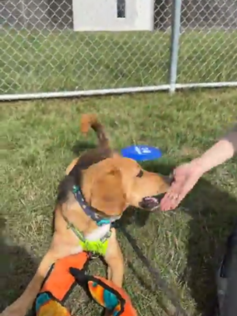 @Calgary Humane Society