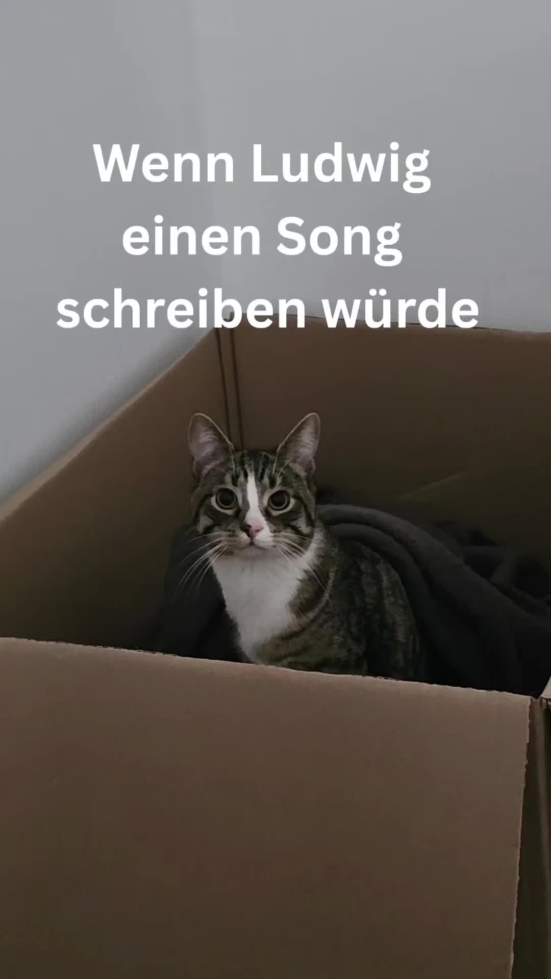 @Ludwig