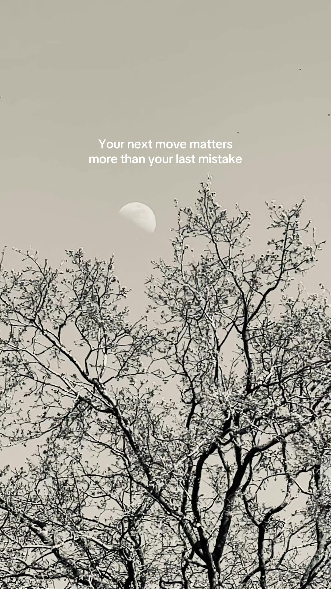 @Inspiredbynature🌿