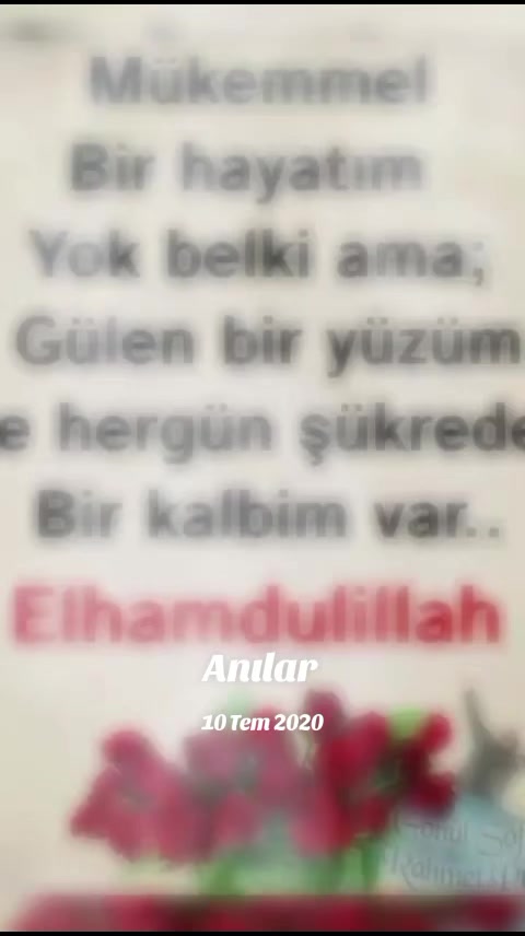 @zeliş