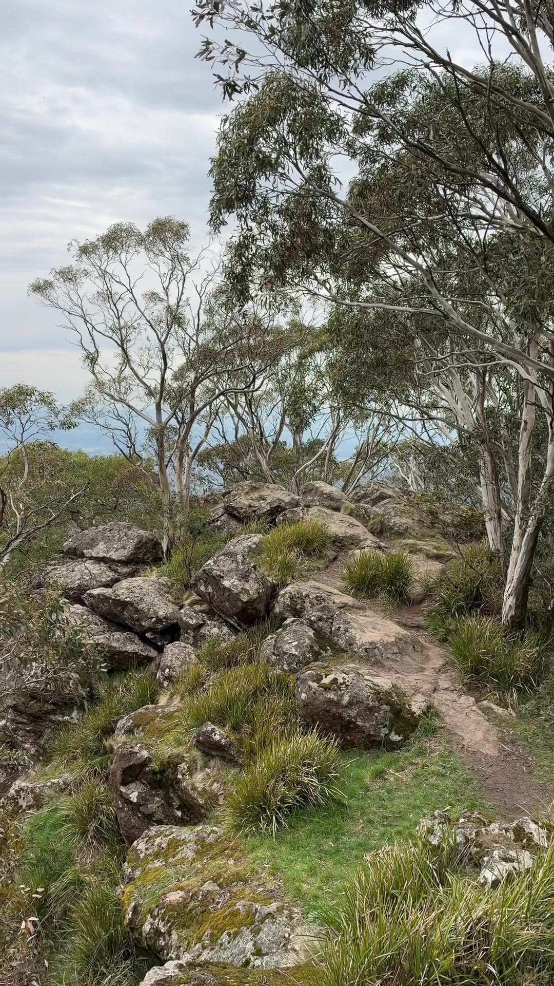 @Australia From My Lens