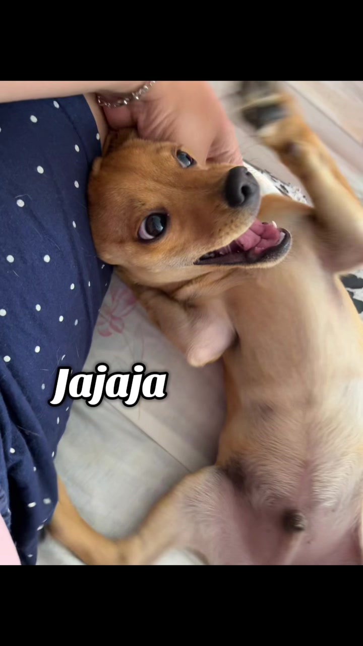 @Mich Ort