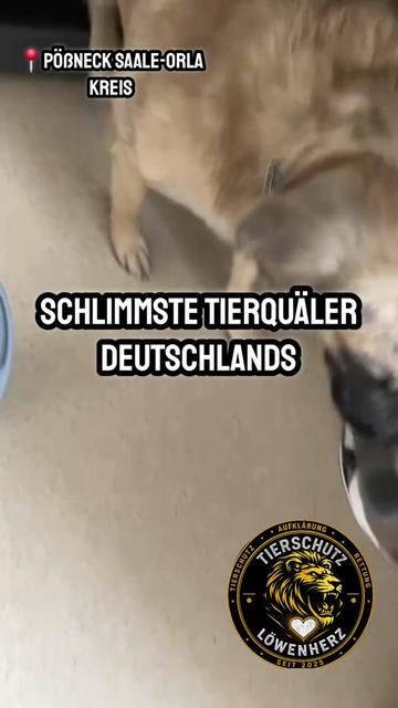 @Alex_L&ouml;wenherz🦁❤🦁