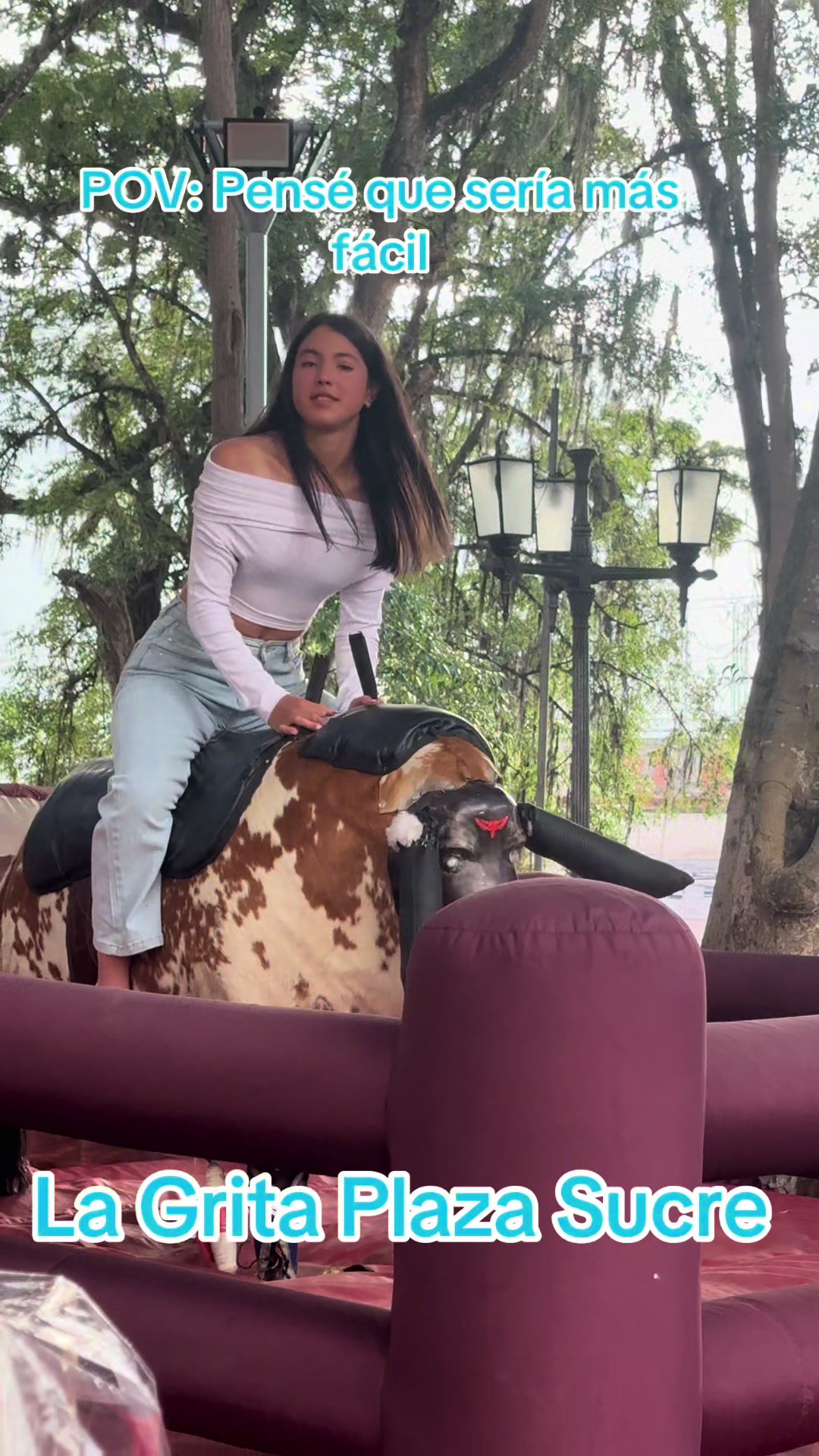 @Toro mas viral de Venezuela