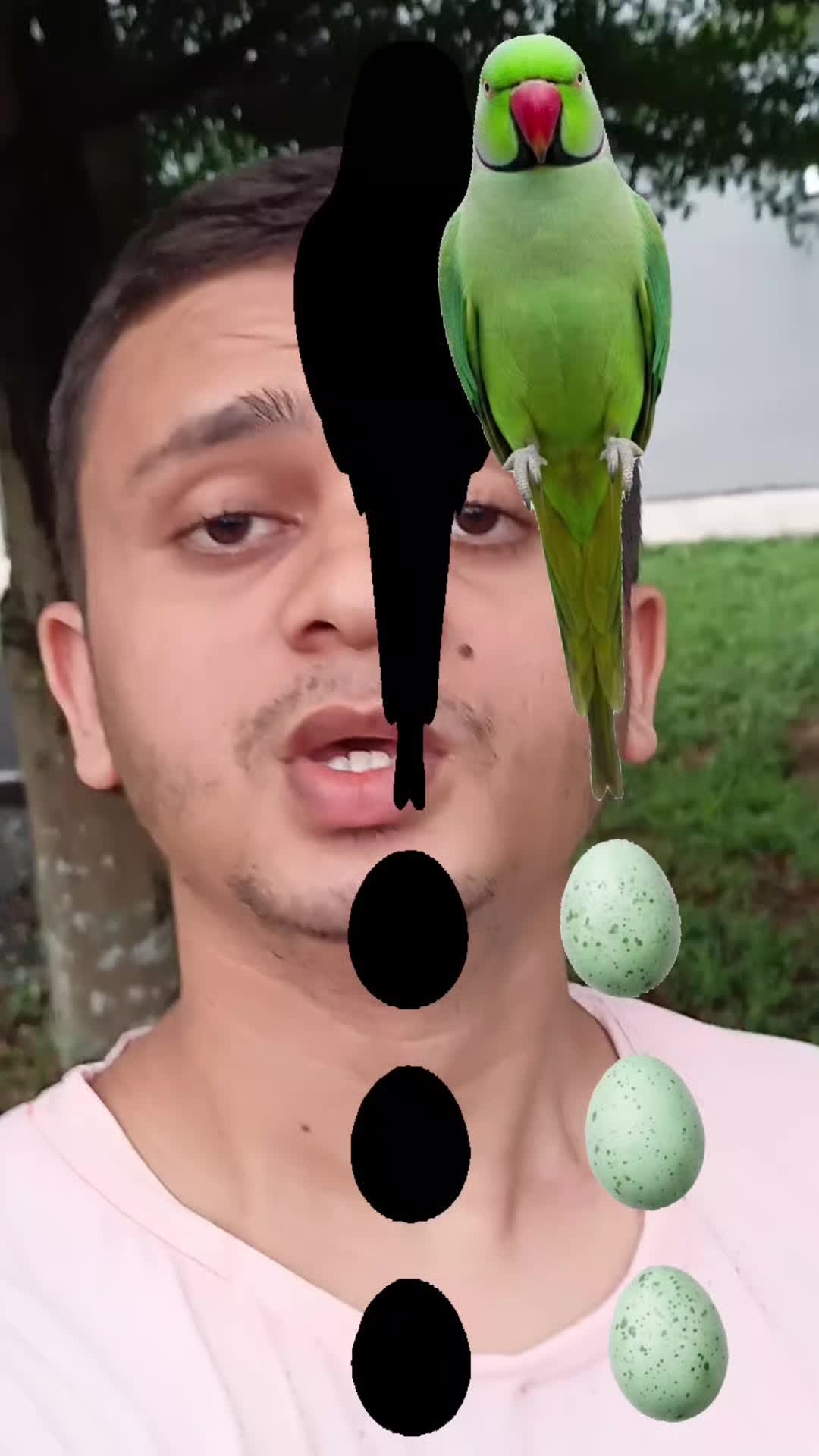@Challenge Puzzle video