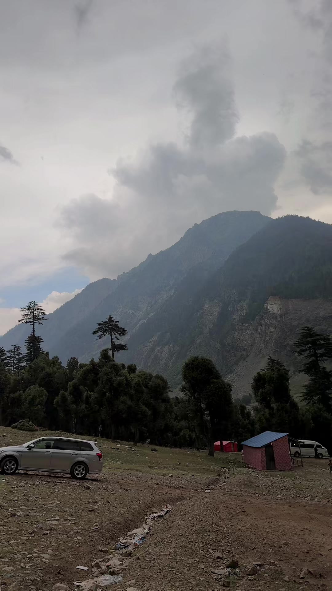 @Zahidarmanptitiger🥰