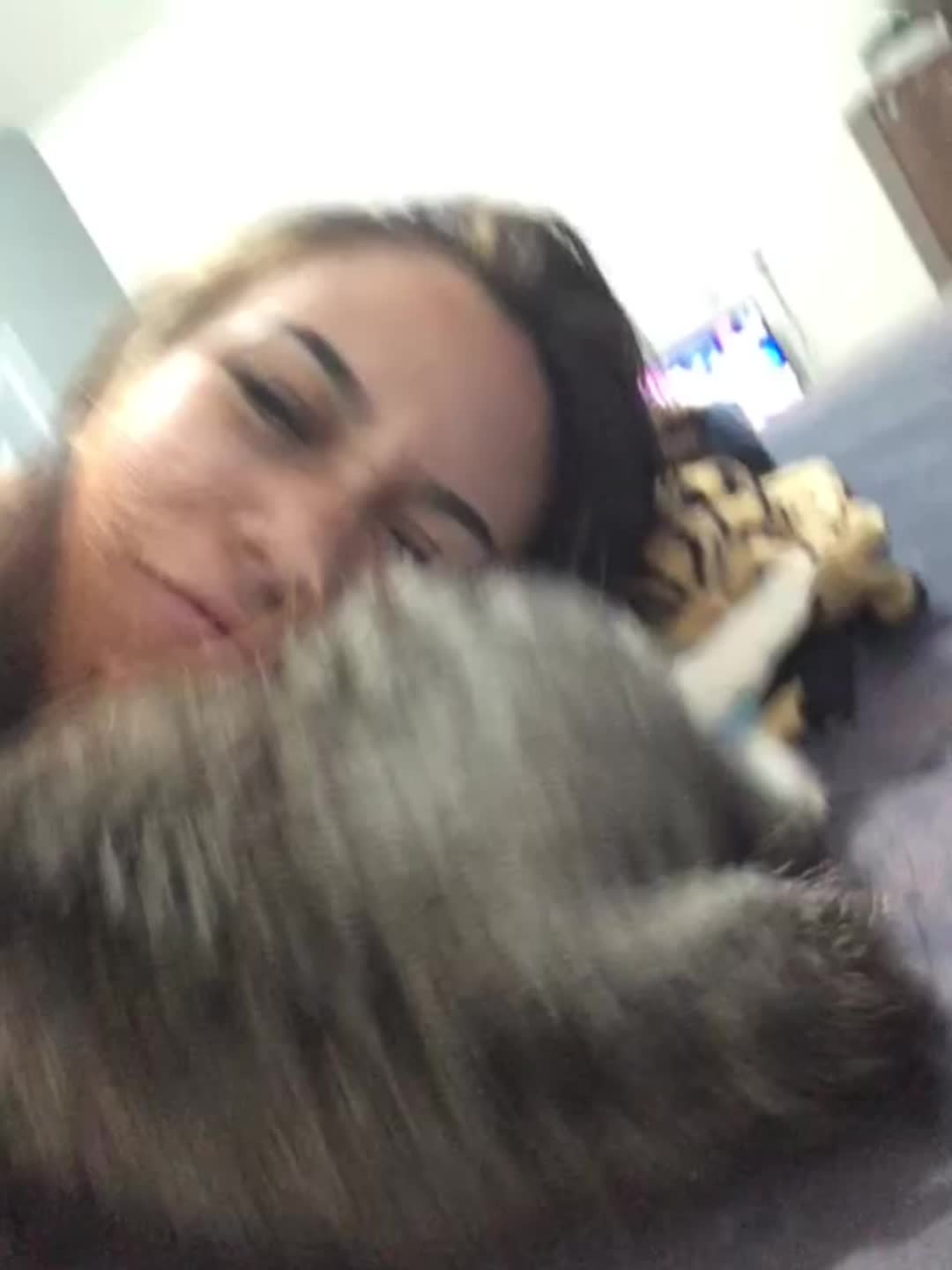 @gehhpereira