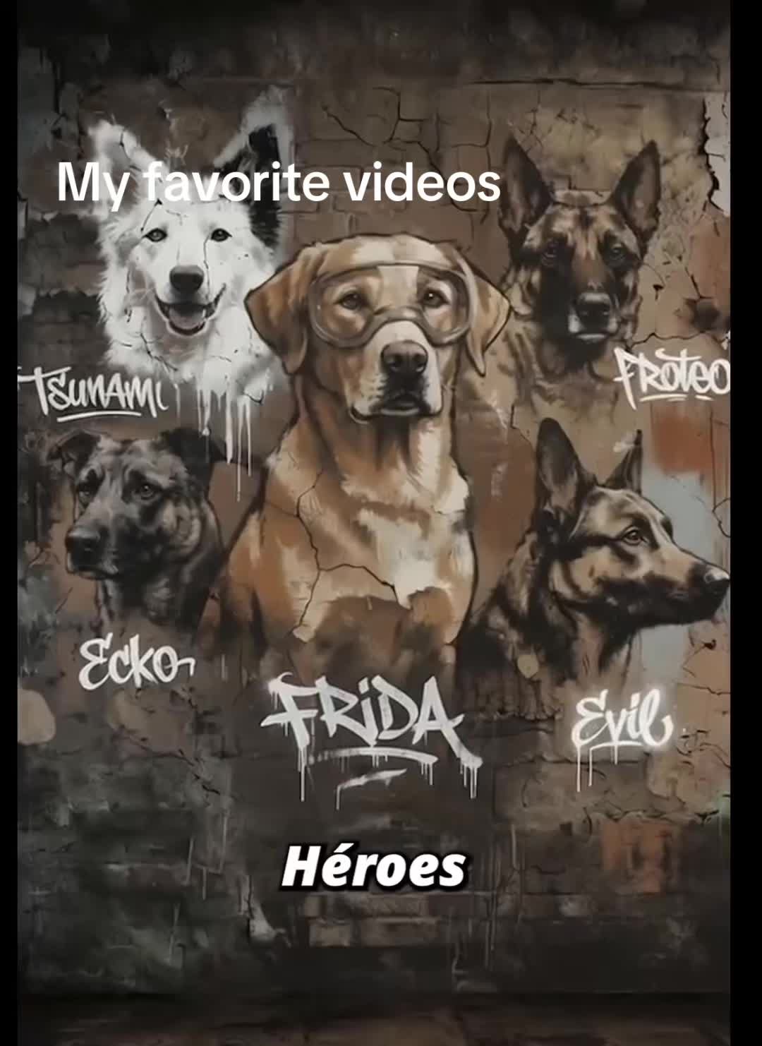 @my favorite videos