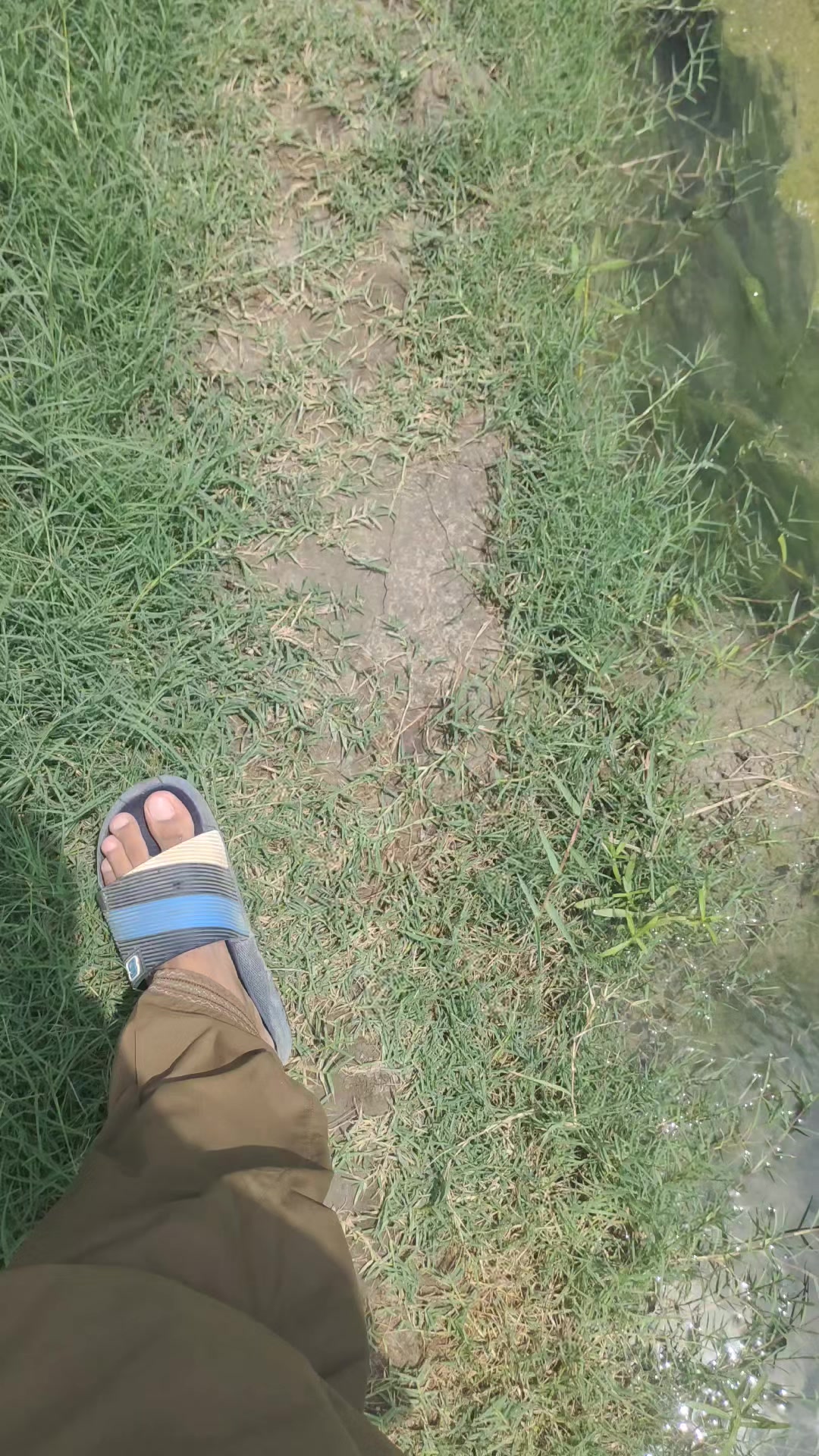 @فارمنگ 👳🏾🌾