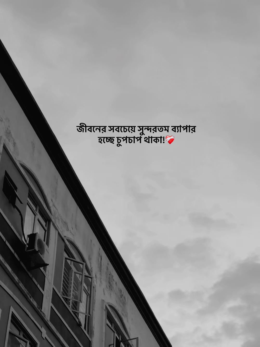 @आईएएन ┊🐥