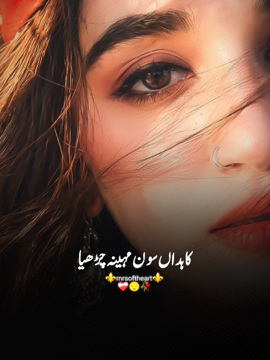 @❤️Seemi_Mughal❤️