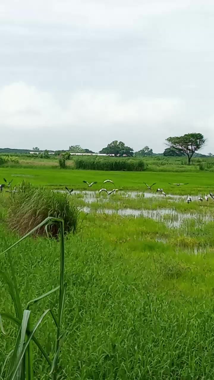 @🦅ටքքҽɾ🦅7Ӡ५