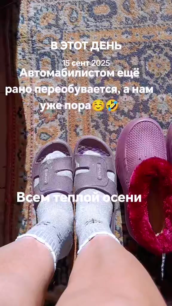 @метисочка
