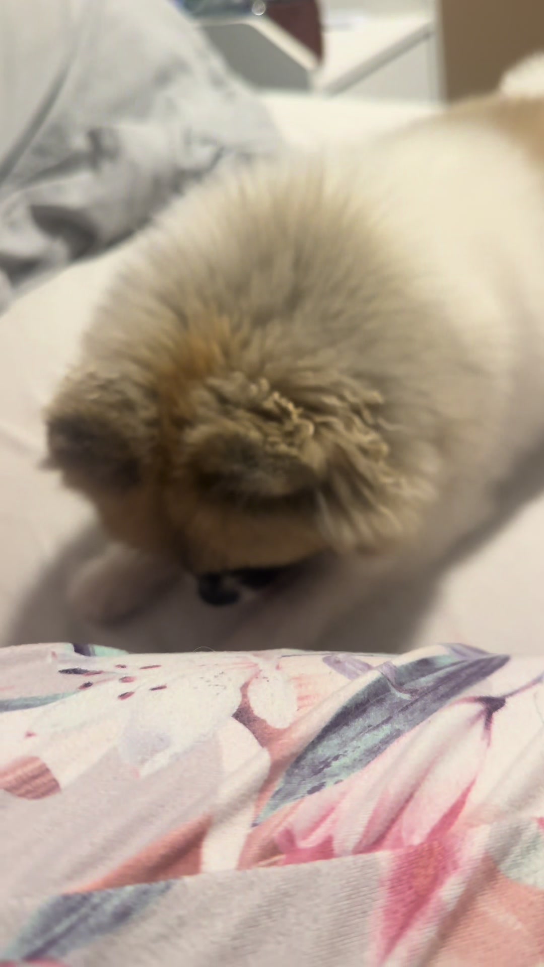 @mocxkrt