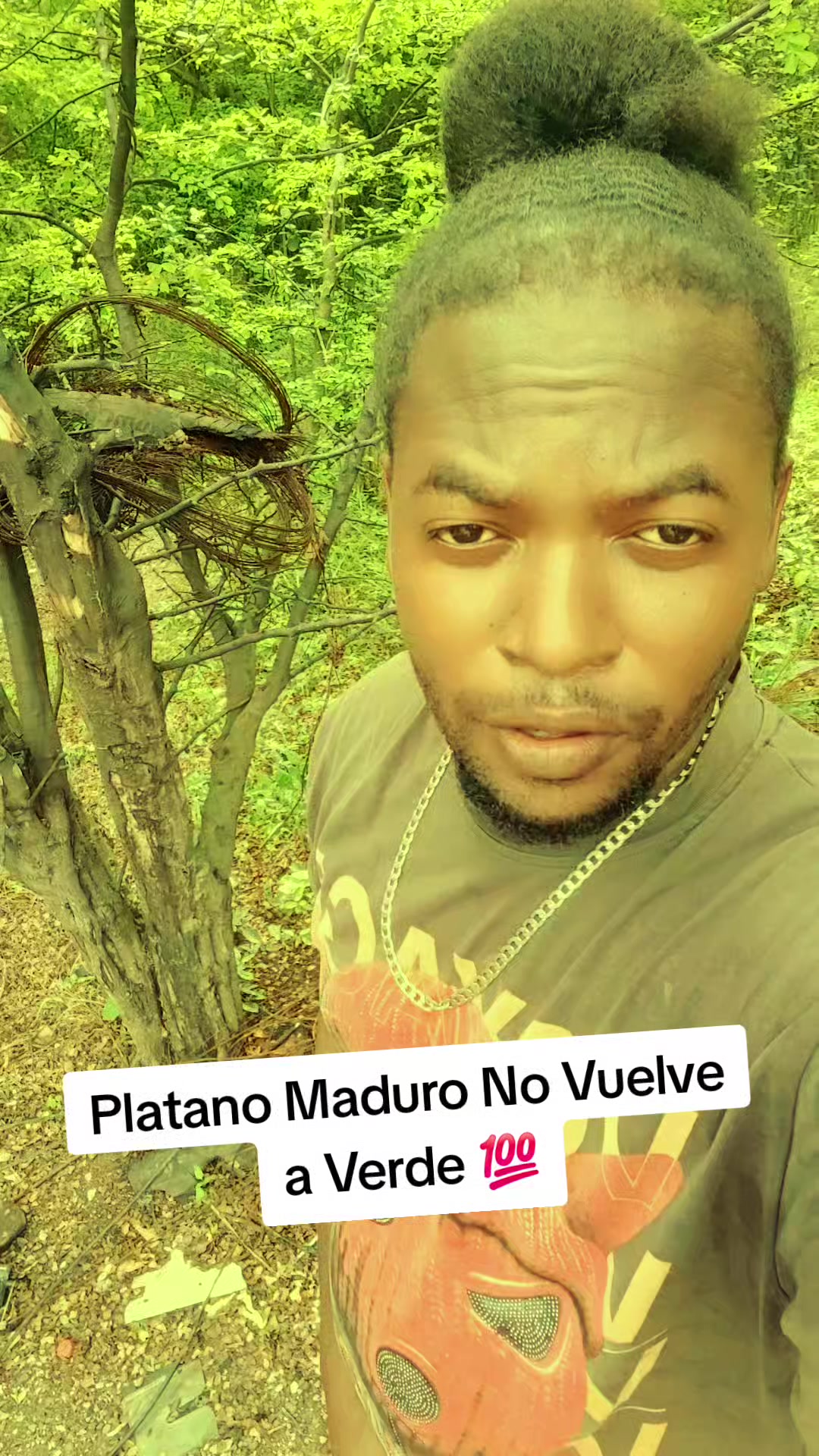 @elreypi63