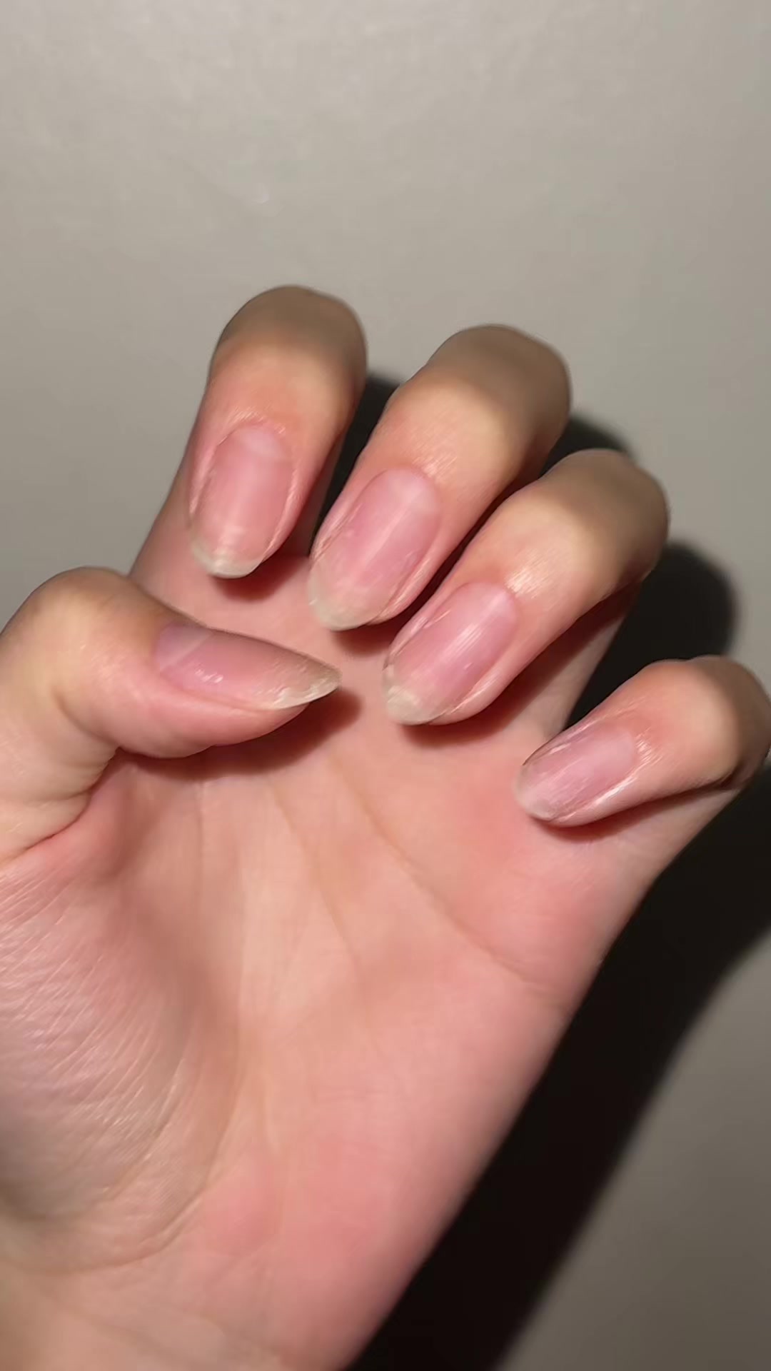 @뭉희동