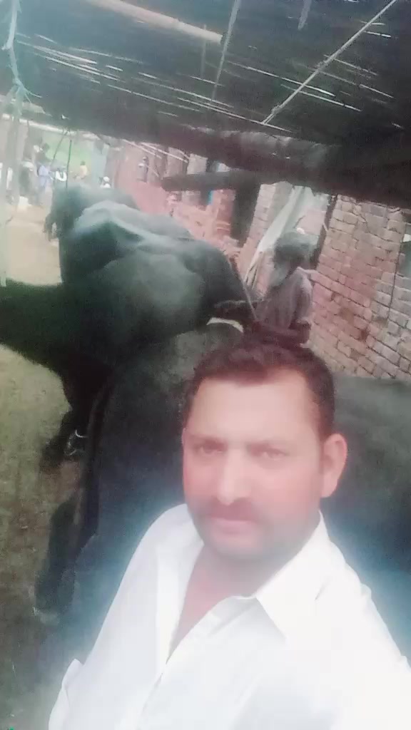 @DG wali