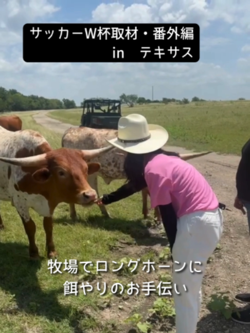 @読売テレビニュース