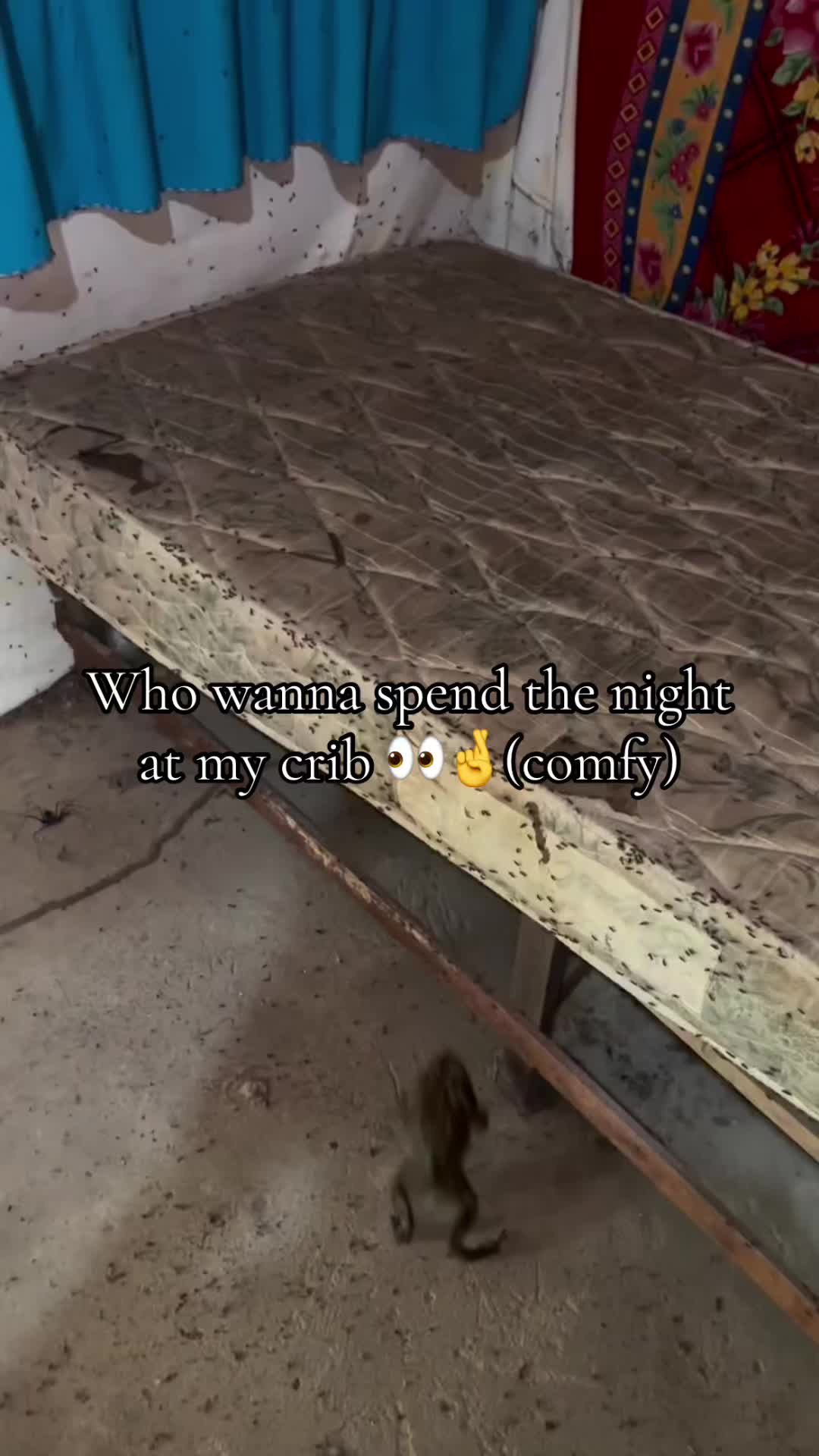 @wegetpaidregardless