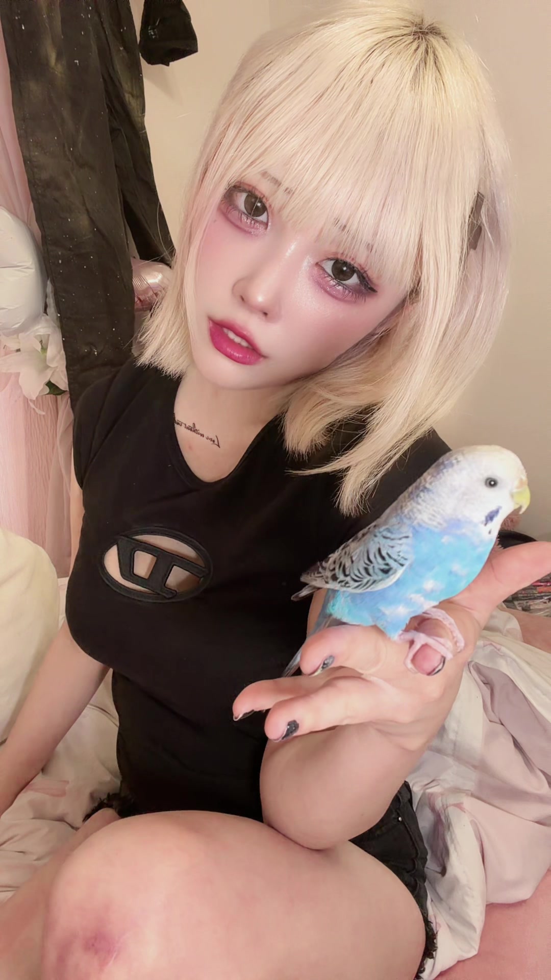 @みーあん🐣