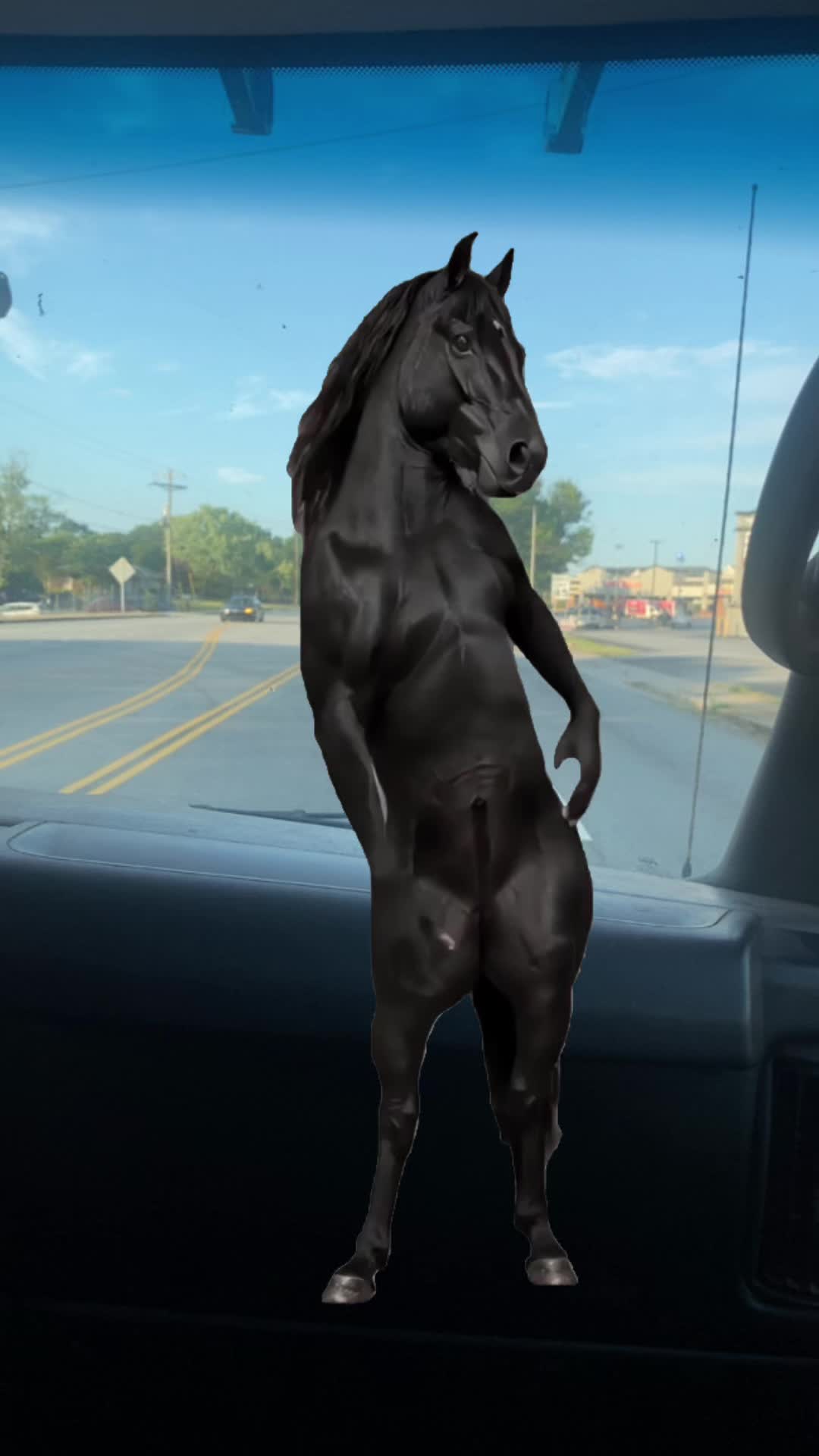 @josuepavon53