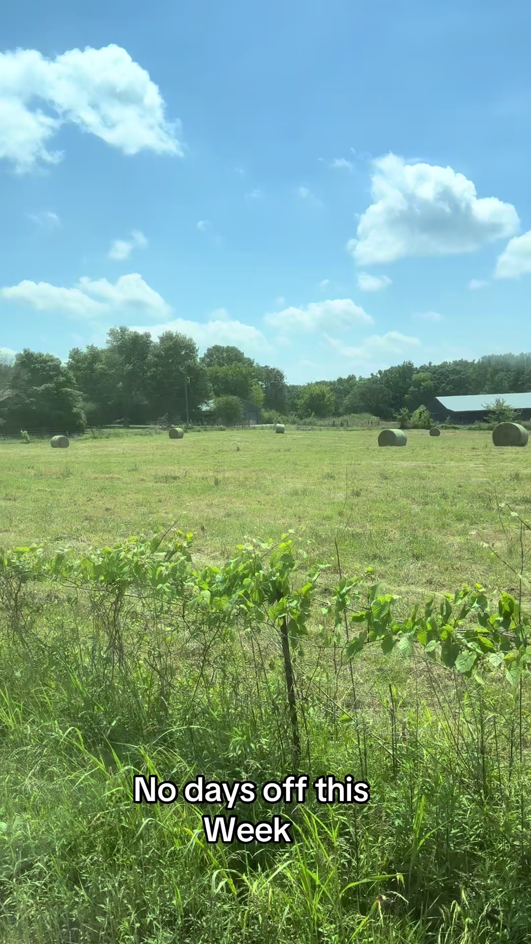 @Joe