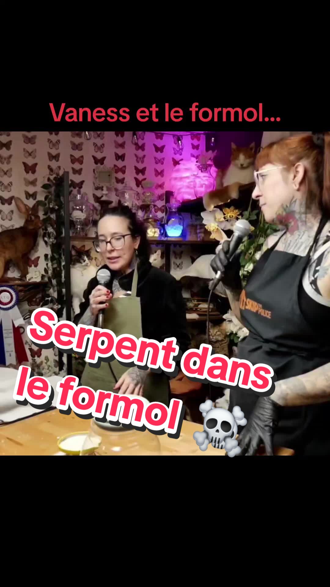 @Les Curieuses