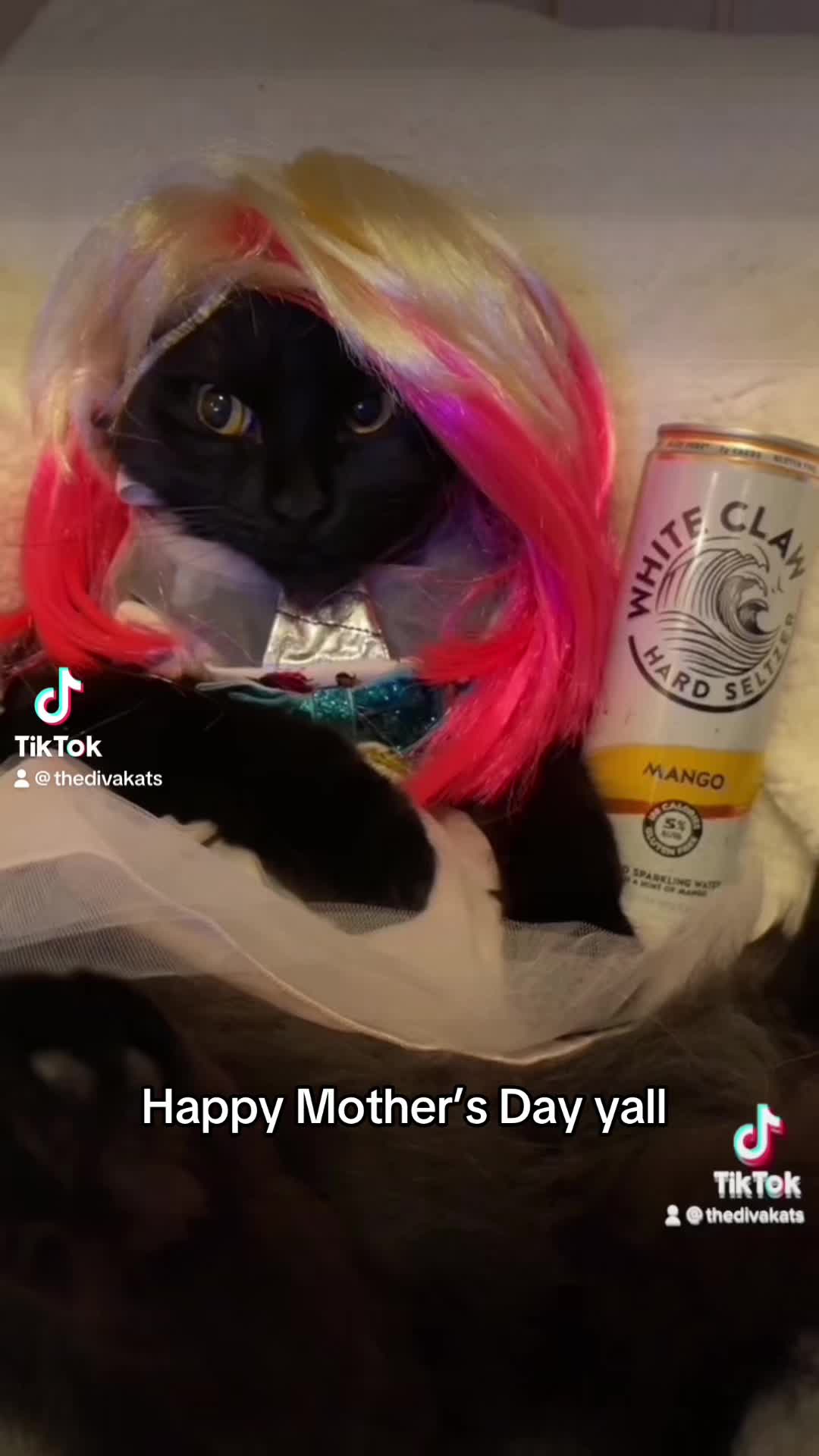@Thedivakats