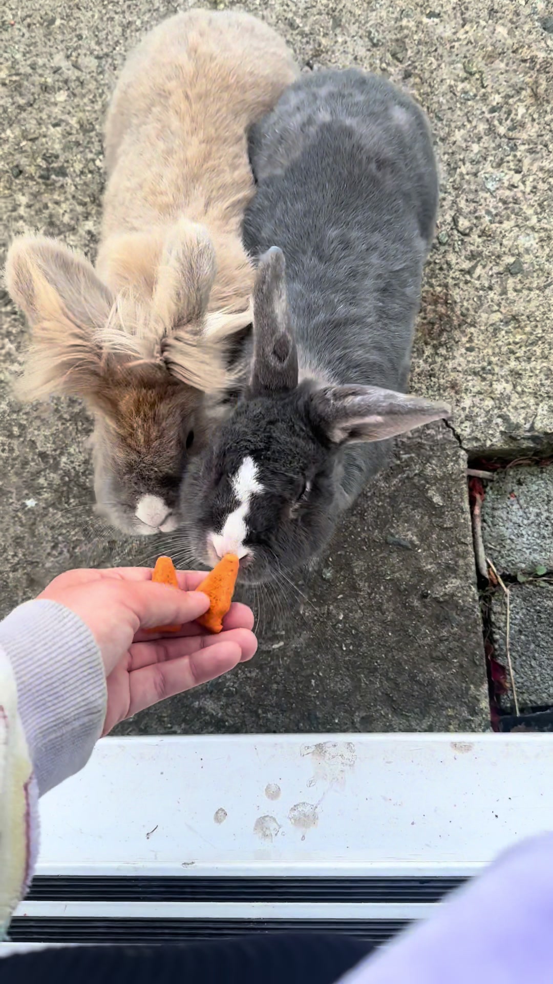 @🧡🌞💛