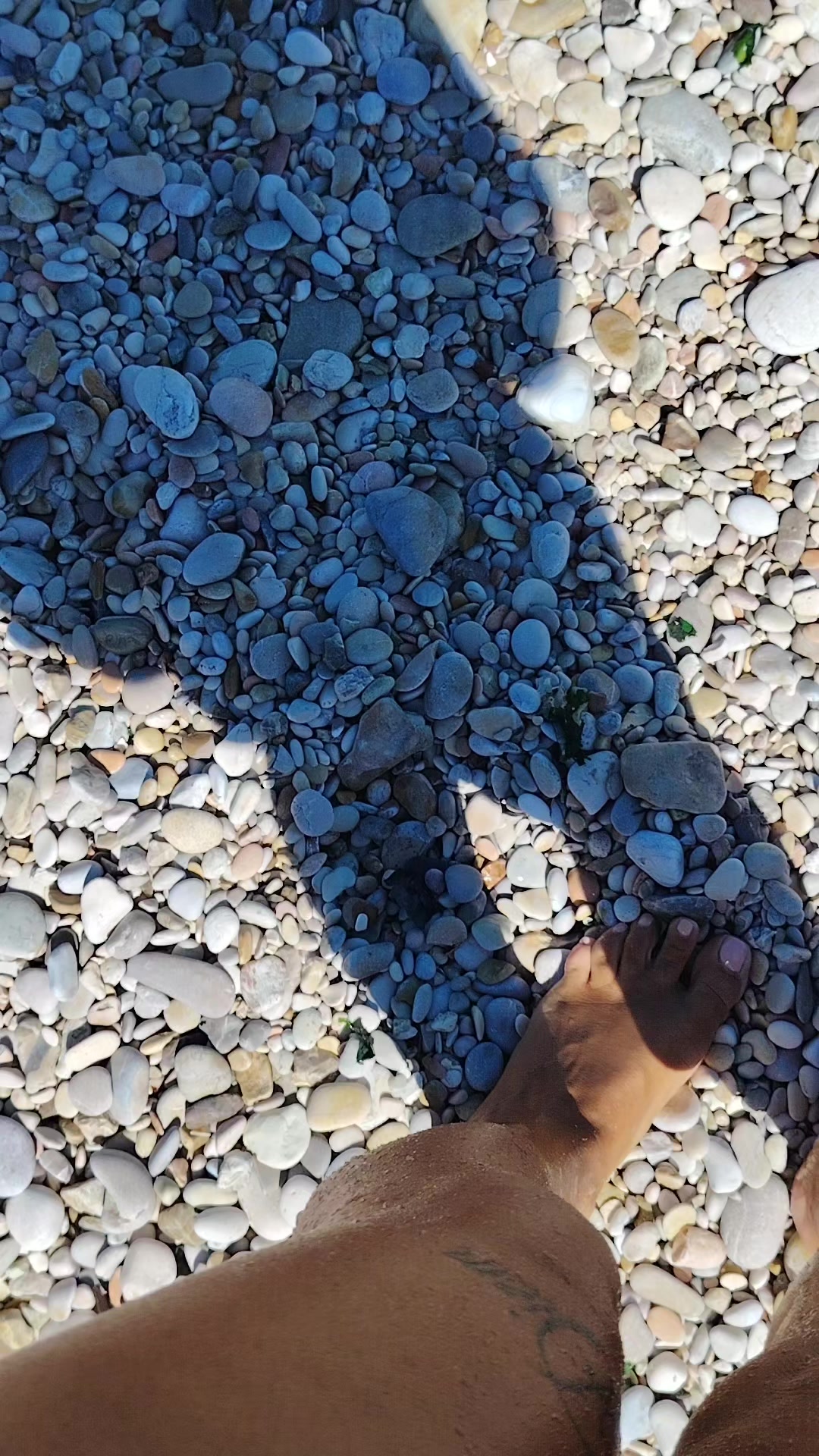 @@𝑻𝒐𝒏𝒚𝒂185🐻🌞🌛