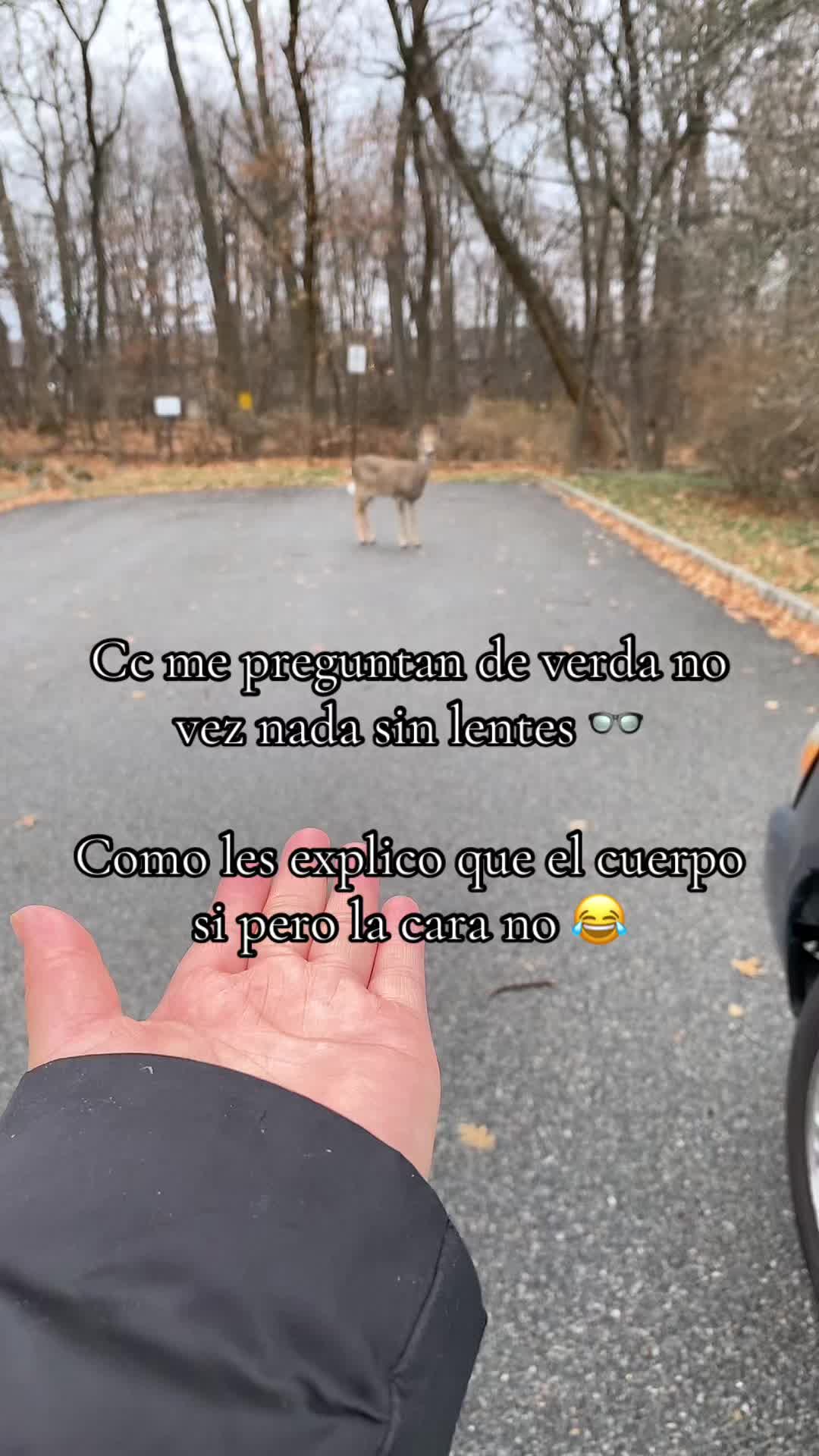 @Bely Yanke