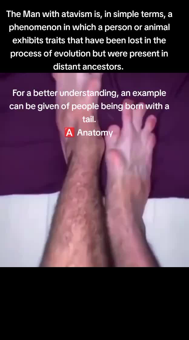 @Anatomy & Medicine