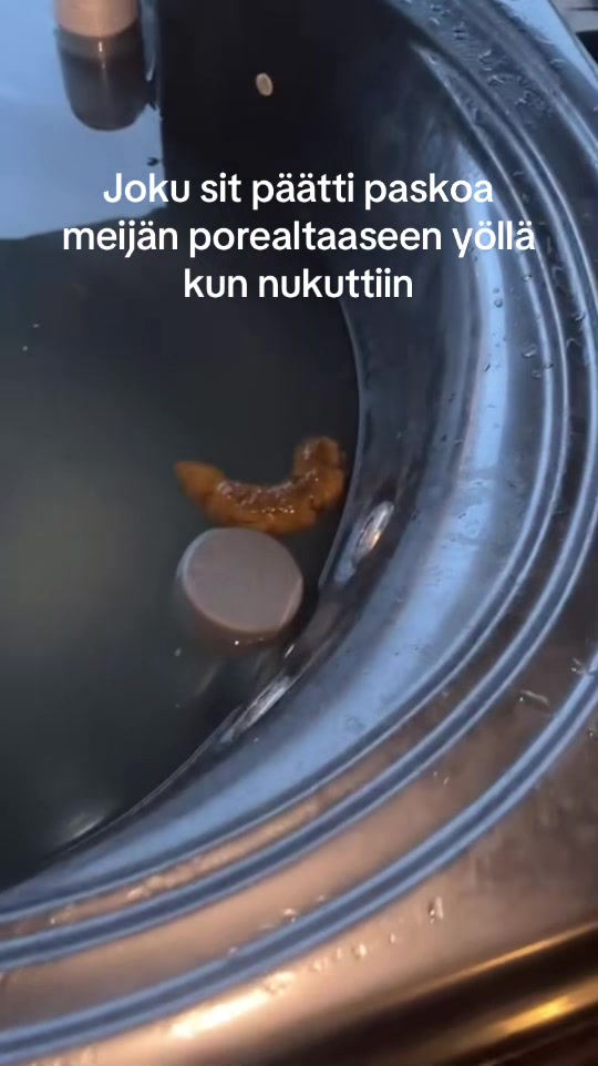 @M𝔦𝔦k𝔞 Ku𝔭s𝔲