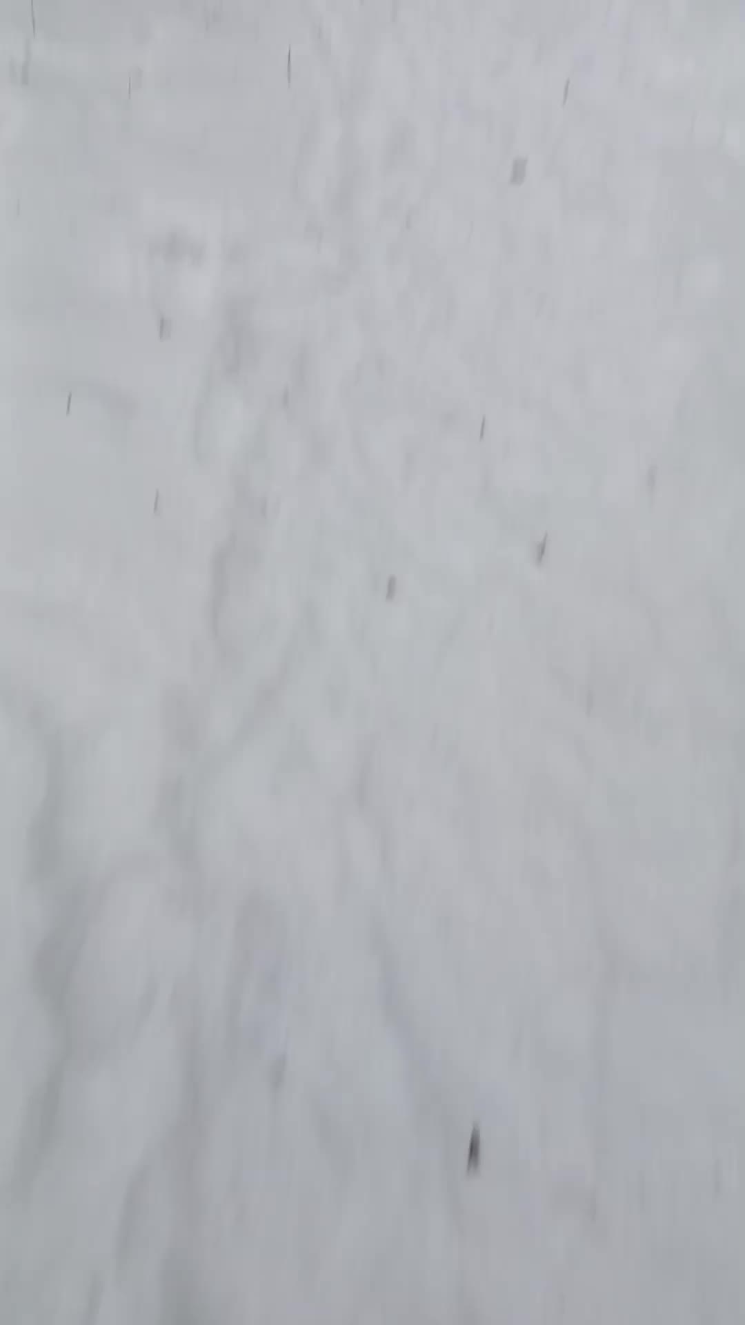 @𝕸𝖆𝖝.𝖒𝖊𝖙𝖆𝖑⊝
